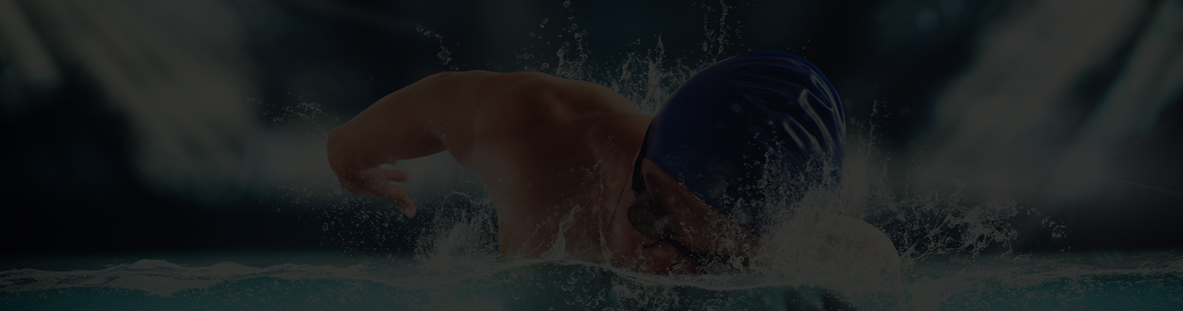 Banner image for Our Supporters